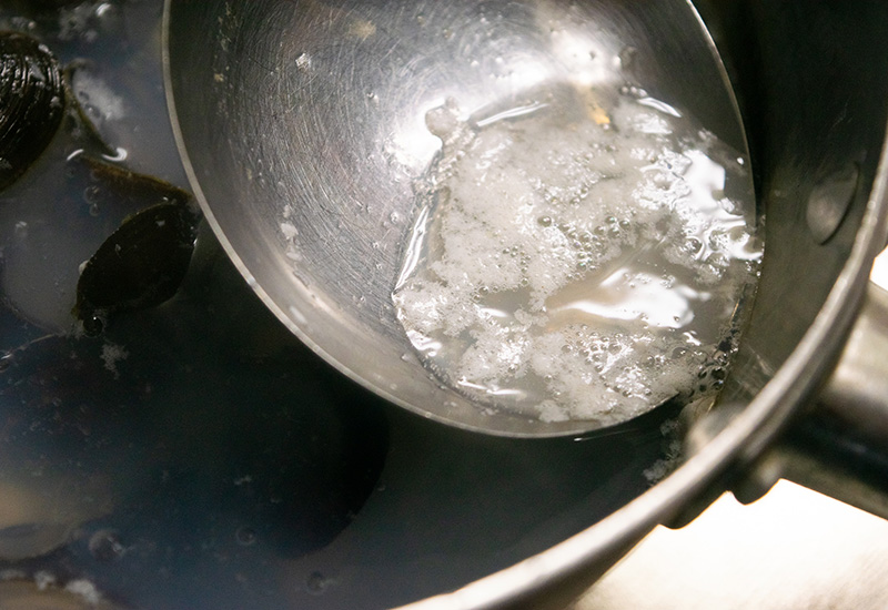 津軽十三湖の大粒しじみ