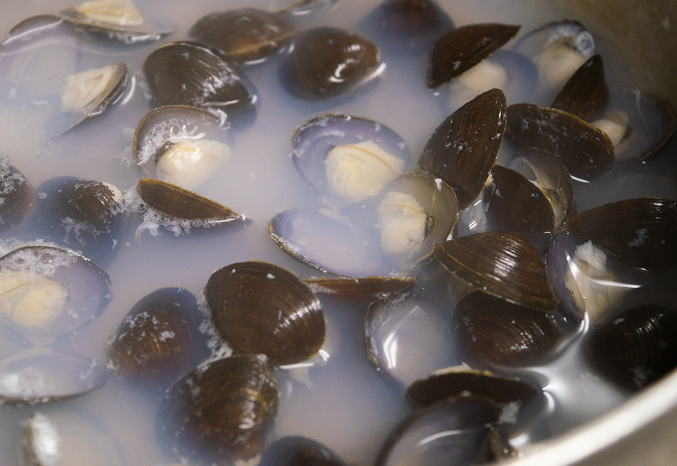 津軽十三湖の大粒しじみ