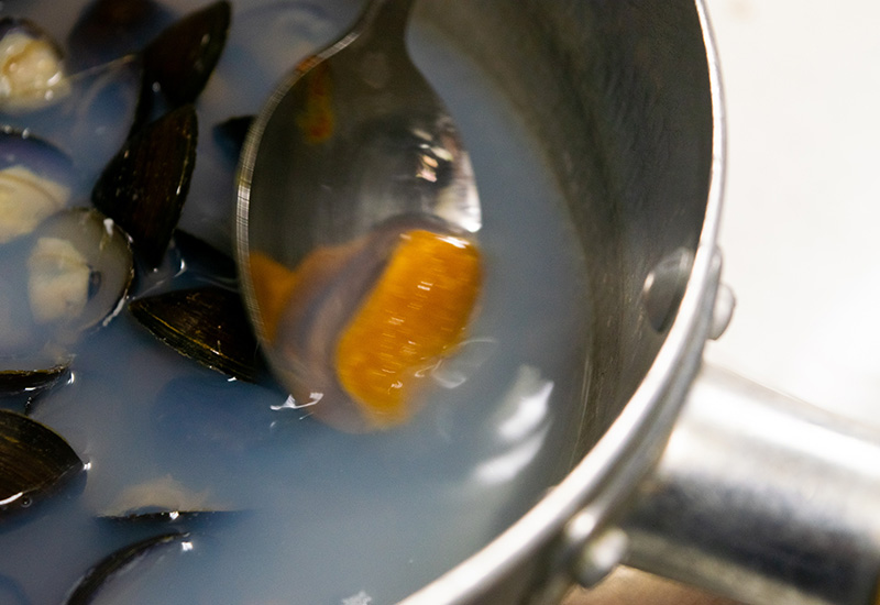 津軽十三湖の大粒しじみ