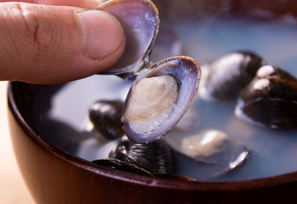 津軽十三湖の大粒しじみ