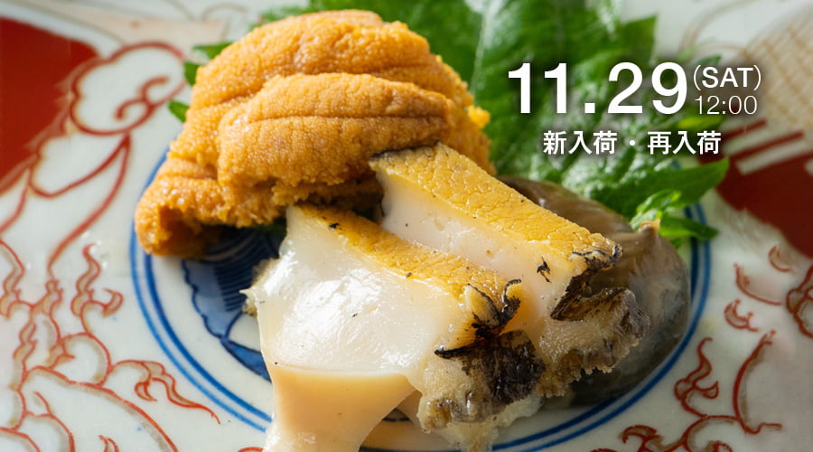 新入荷・再入荷