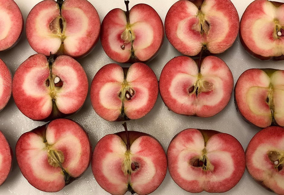 東北おいしい村