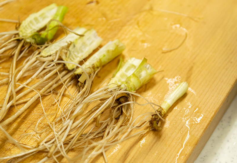 生鮮便