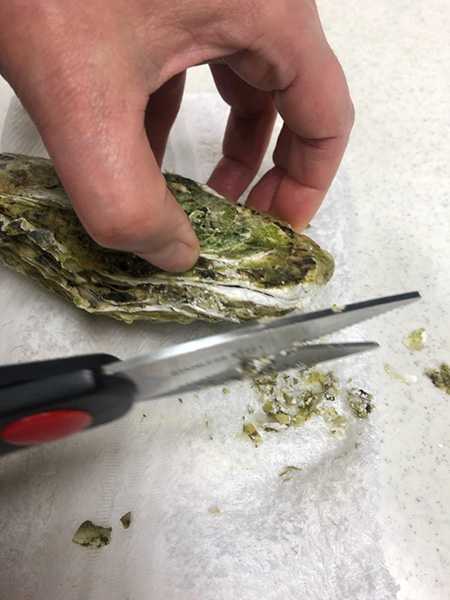 生鮮便