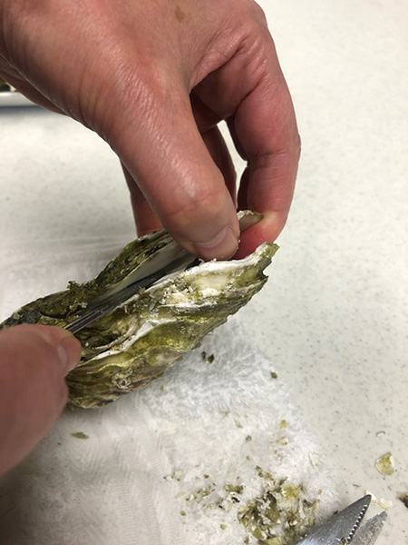 生鮮便