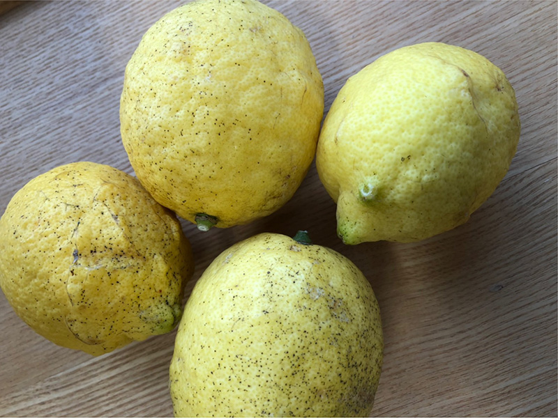 生鮮便