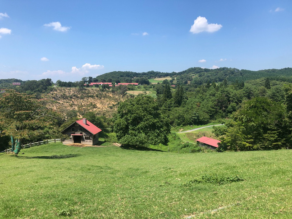 東北おいしい村