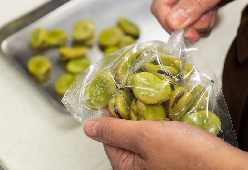 宮城県村田町のそら豆