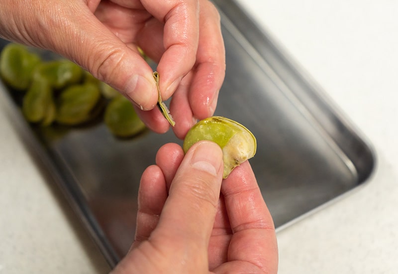 宮城県村田町のそら豆