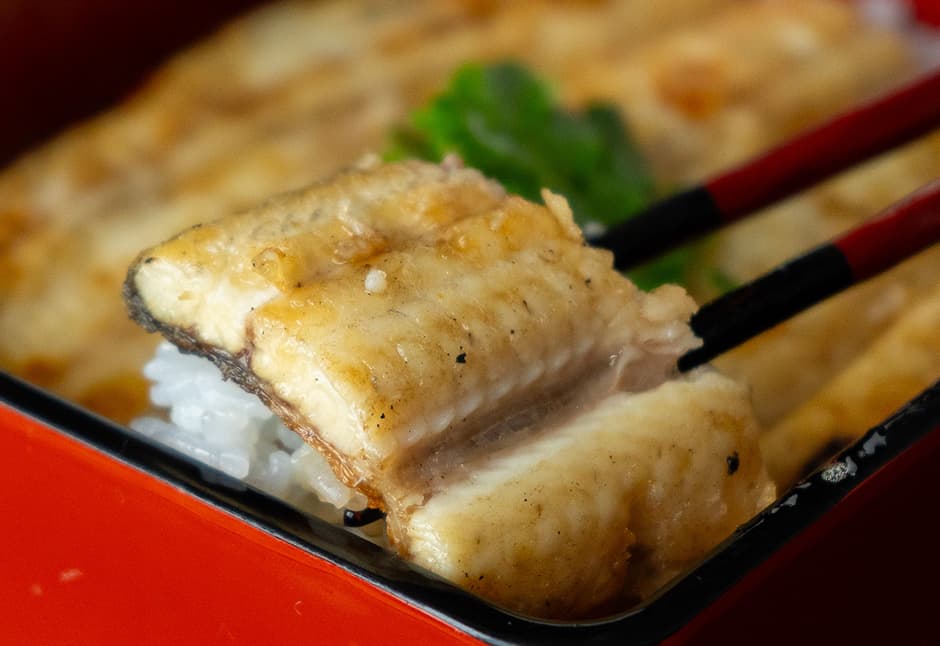 活うなぎ白焼き