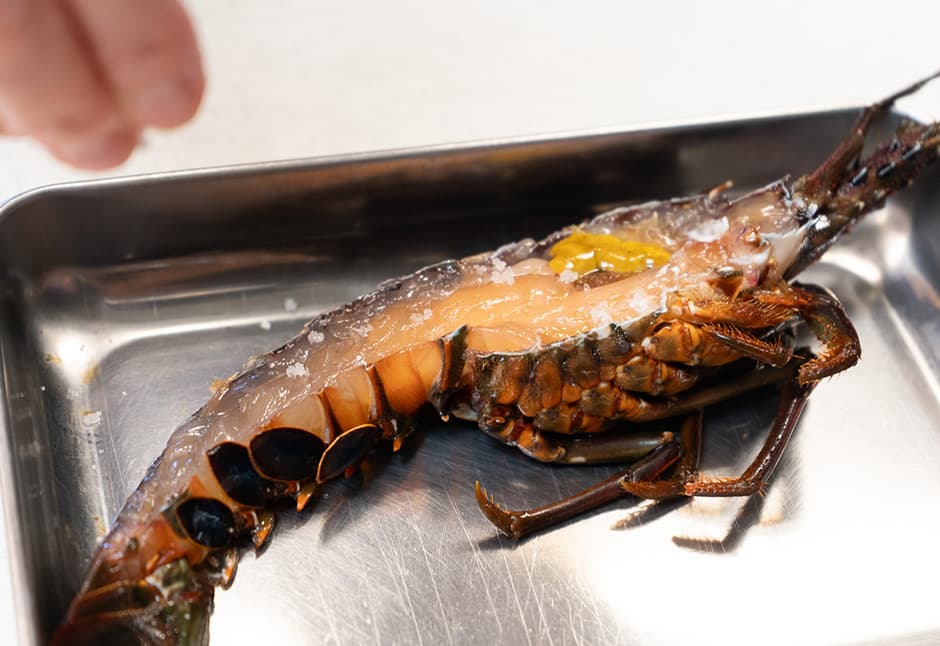 気仙沼産伊勢海老