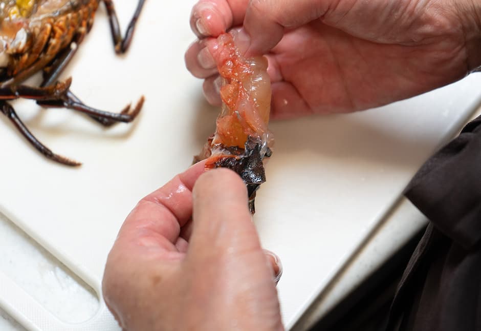 気仙沼産伊勢海老