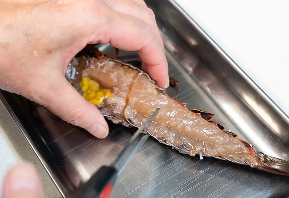 気仙沼産伊勢海老