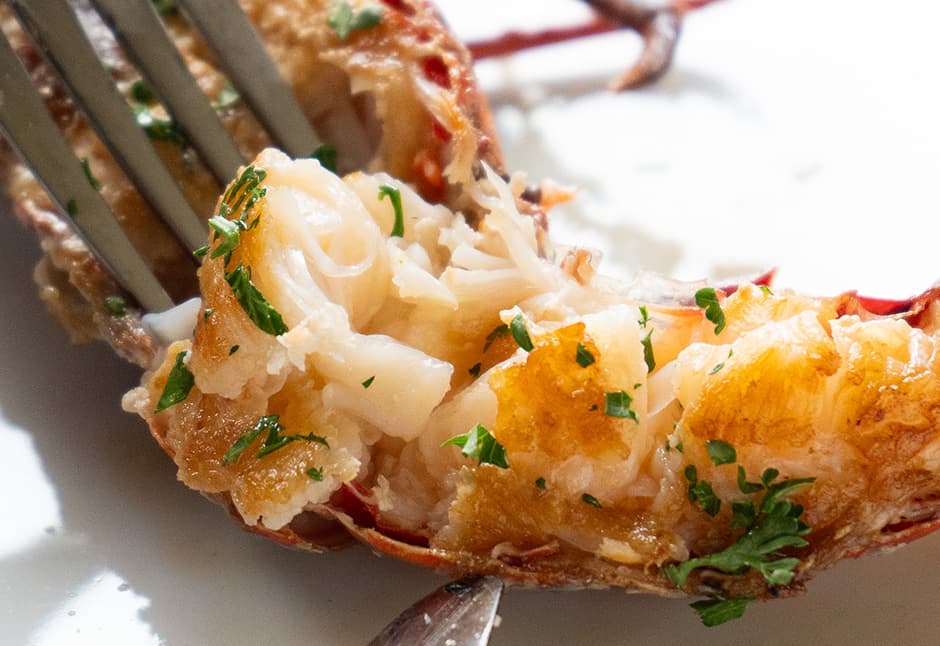 気仙沼産伊勢海老