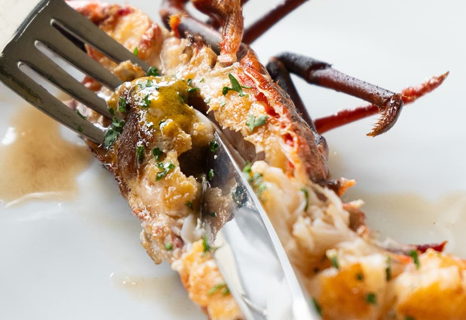 気仙沼産伊勢海老