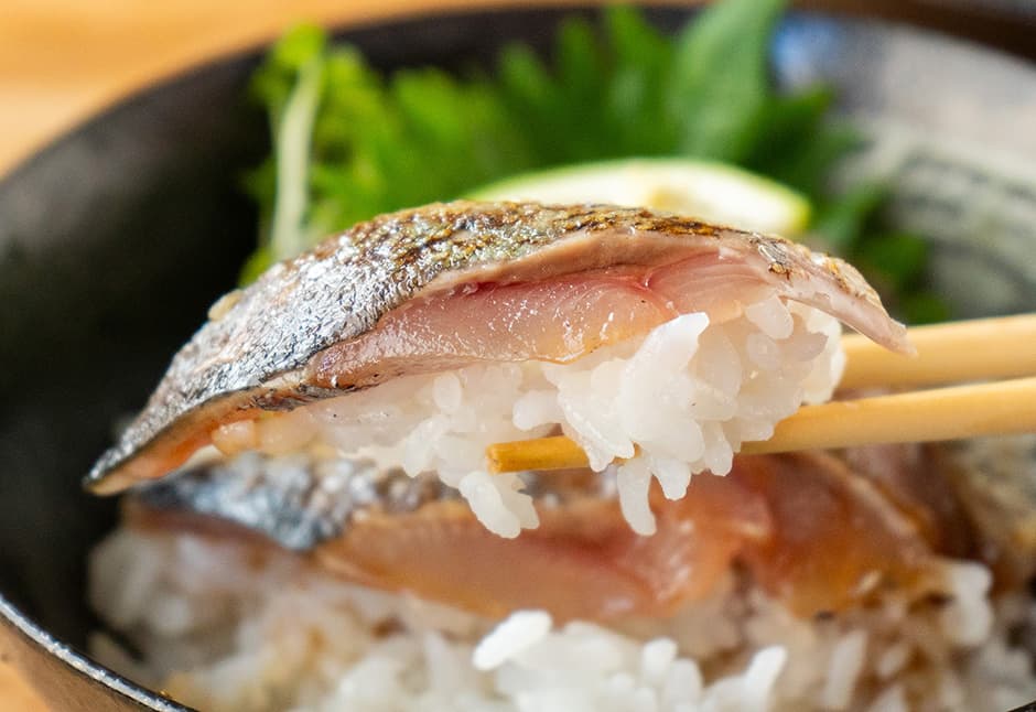 気仙沼産　炙りさんま刺身