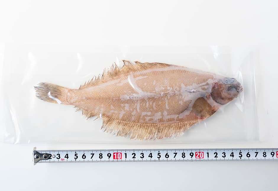 柳かれいの干物