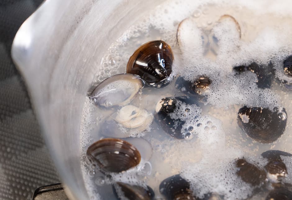 津軽十三湖のしじみ（中粒２００ｇＰ×３袋）