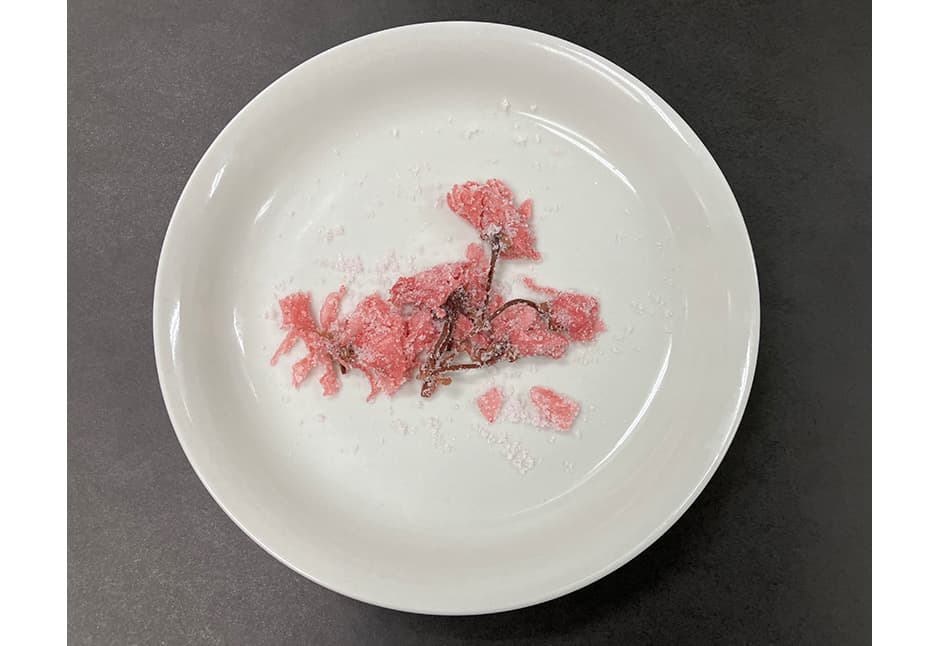 東北おいしい村