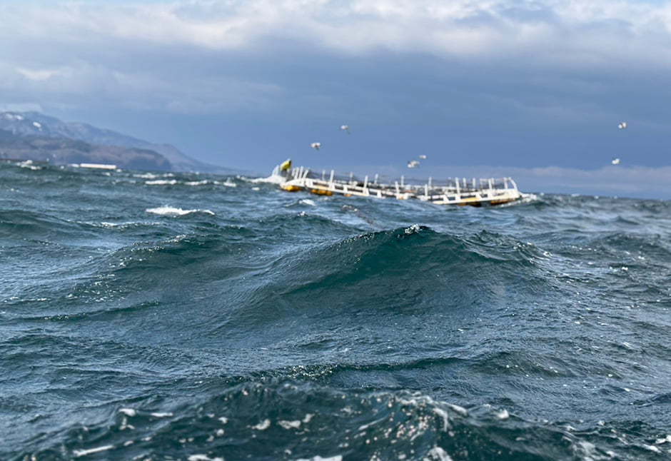 海峡サーモンさん・スモークサーモン