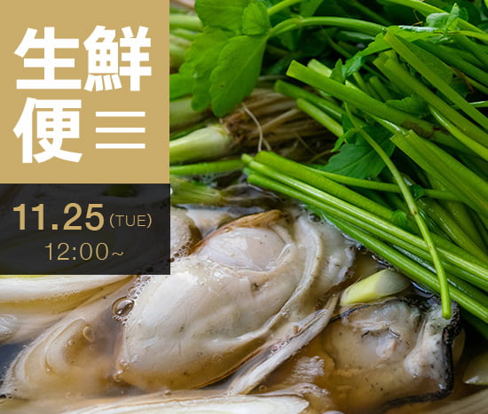 宮城発送　こだわり市場さま専用 宮城発送 こだわり市場さま専用 宮城発送 こだわり市場さま専用 宮城