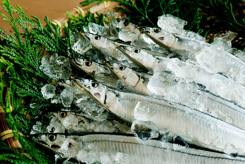 生さんま 秋刀魚 気仙沼から手作りお惣菜 おかずをお取り寄せ通販なら斉吉