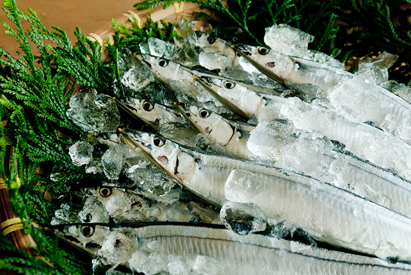 生さんま（秋刀魚）｜気仙沼から無添加手作りお惣菜・海鮮をお取り寄せなら斉吉